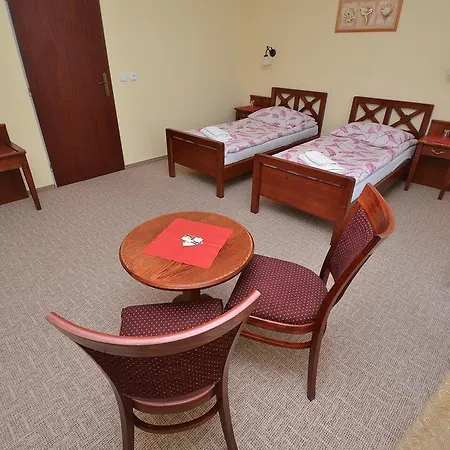 Maison d'hôtes Ve Skalici 3*